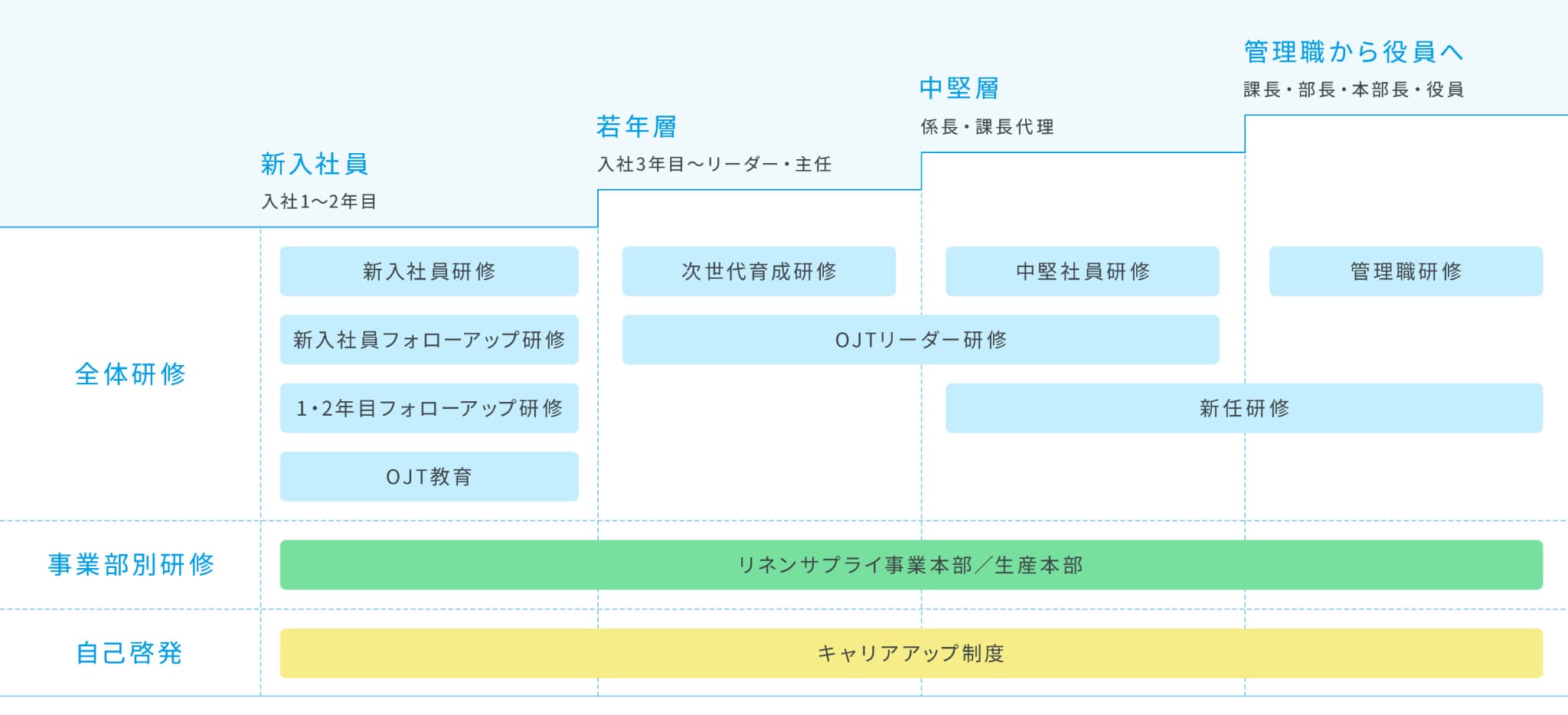 新入社員(入社1~2年目)→若年層(入社3年目~)→中堅層(リーダー・主任・係長・課長代理)→管理職から役員へ(課長・部長・本部長・役員)/全体研修「新入社員研修」「新入社員フォローアップ研修」「1・2年目フォローアップ研修」「OJT教育」→「次世代育成研修」「OJTリーダー研修」→「OJTリーダー研修」「中堅社員研修」「新任研修」→「新任研修」「管理職研修」/事業別研修「リネンサプライ事業本部/生産本部」/自己啓発「キャリアアップ制度」